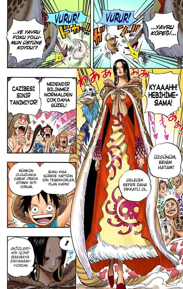 One Piece [Renkli] - Sayfa 5