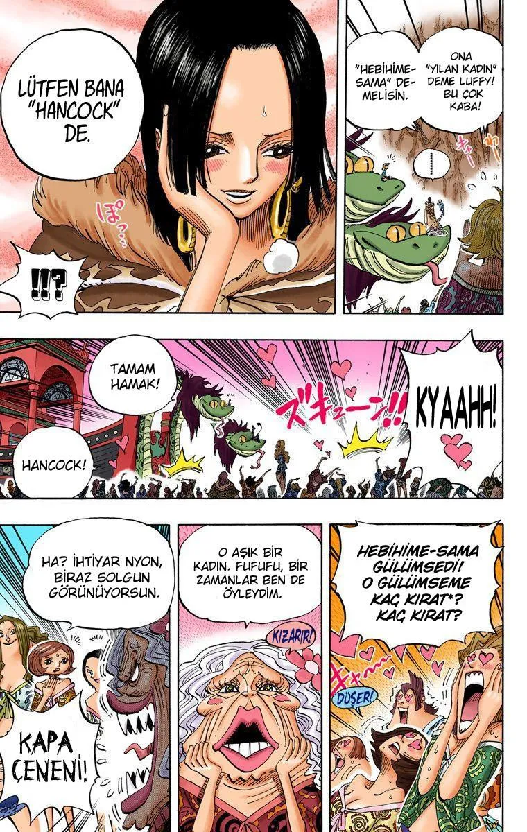 One Piece [Renkli] - Sayfa 6