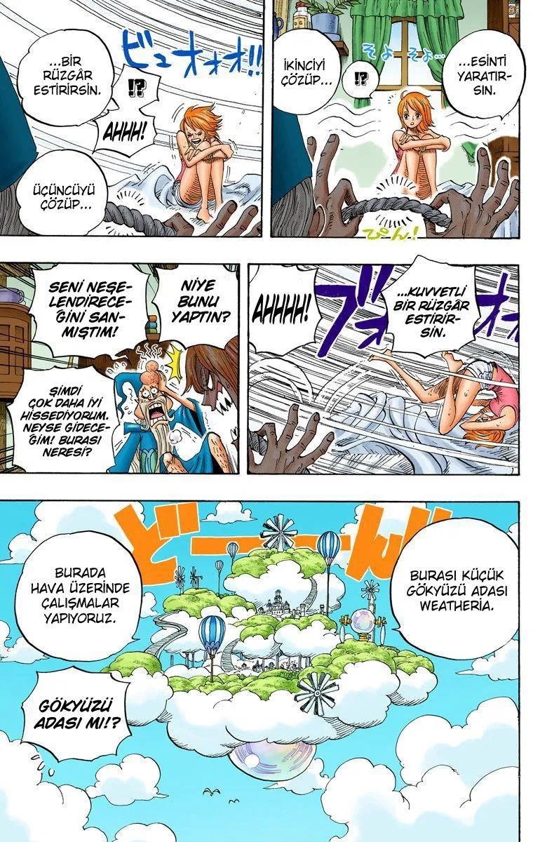 One Piece [Renkli] - Sayfa 16