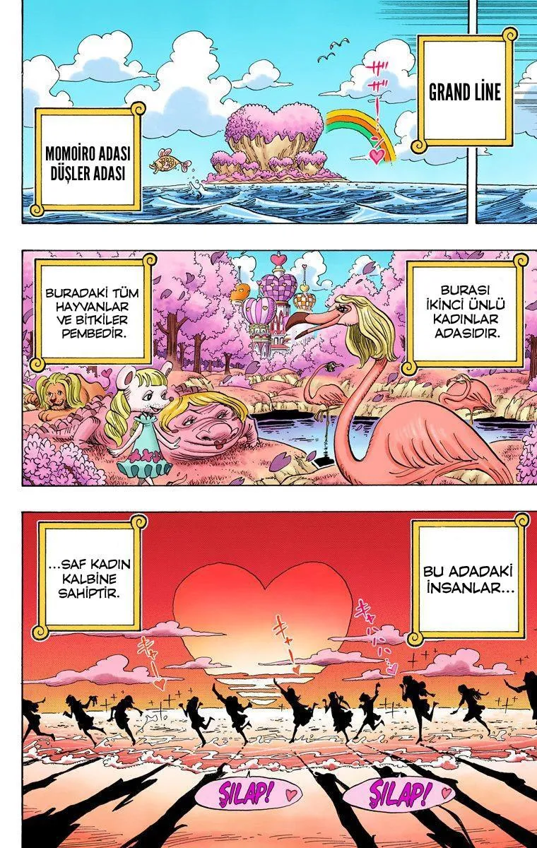 One Piece [Renkli] - Sayfa 19