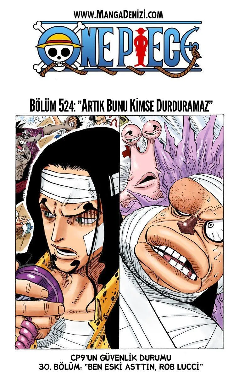 One Piece [Renkli] - Sayfa 2