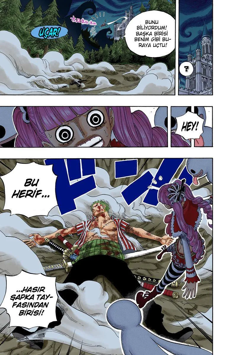 One Piece [Renkli] - Sayfa 12