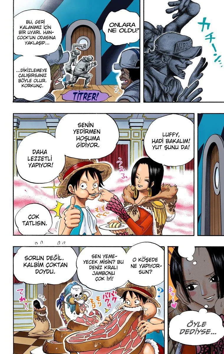 One Piece [Renkli] - Sayfa 15