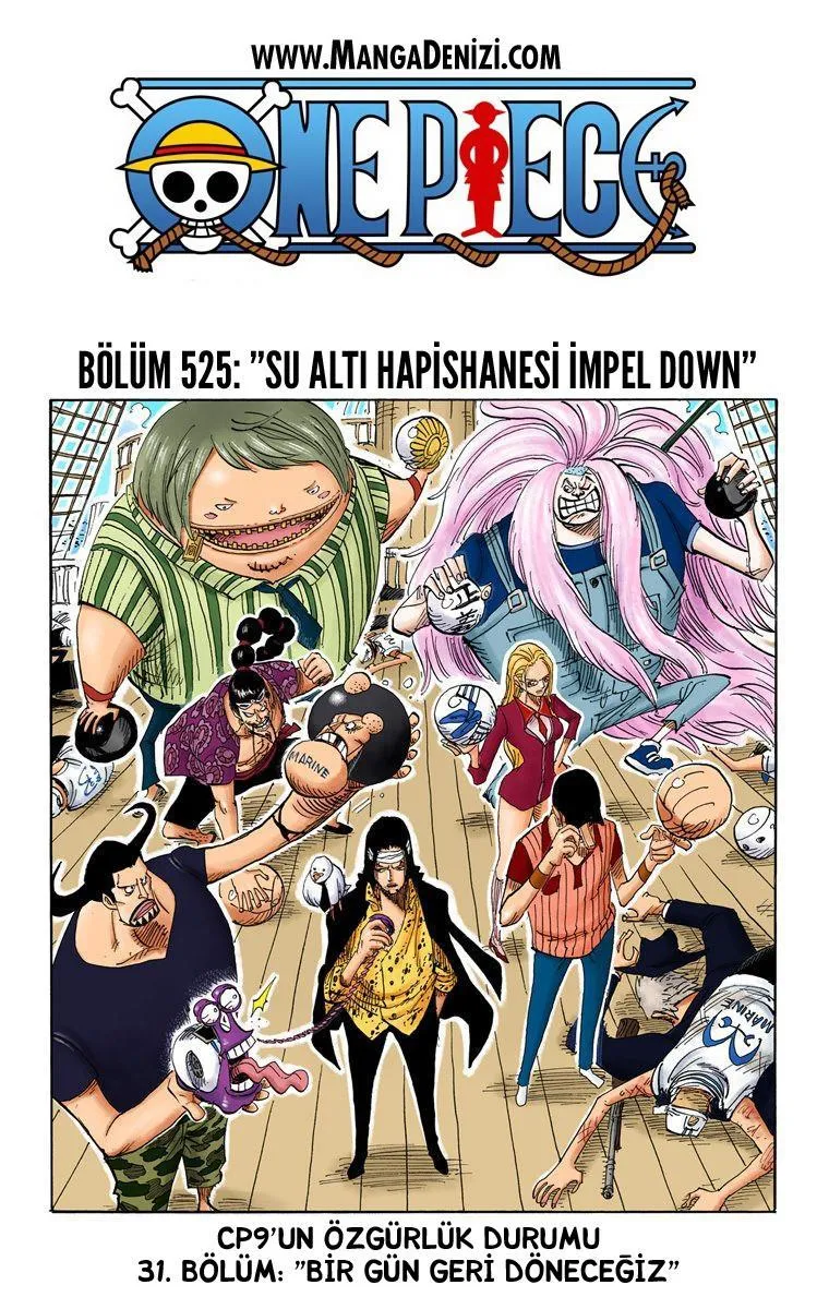 One Piece [Renkli] - Sayfa 2