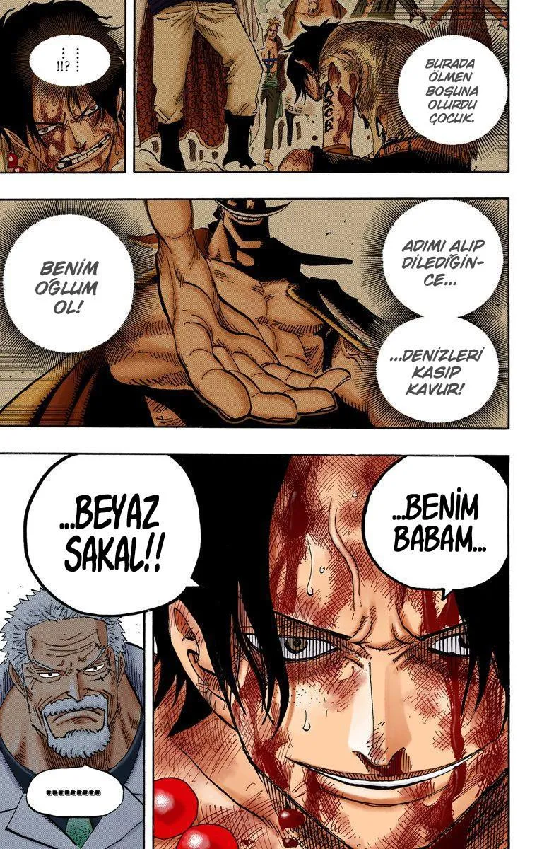 One Piece [Renkli] - Sayfa 4