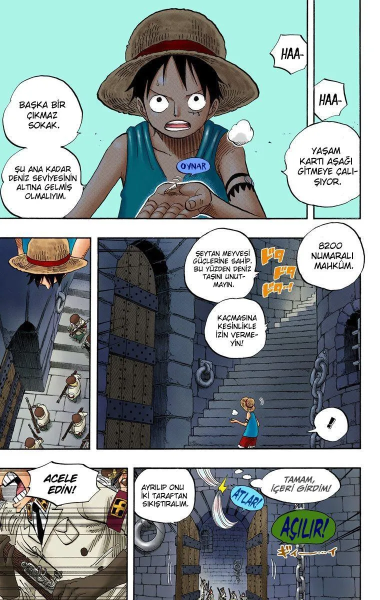 One Piece [Renkli] - Sayfa 15