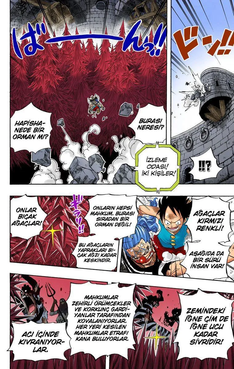 One Piece [Renkli] - Sayfa 15