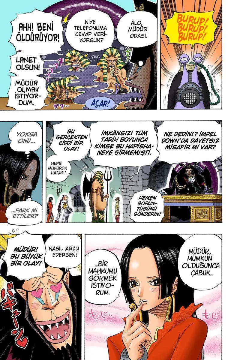 One Piece [Renkli] - Sayfa 10