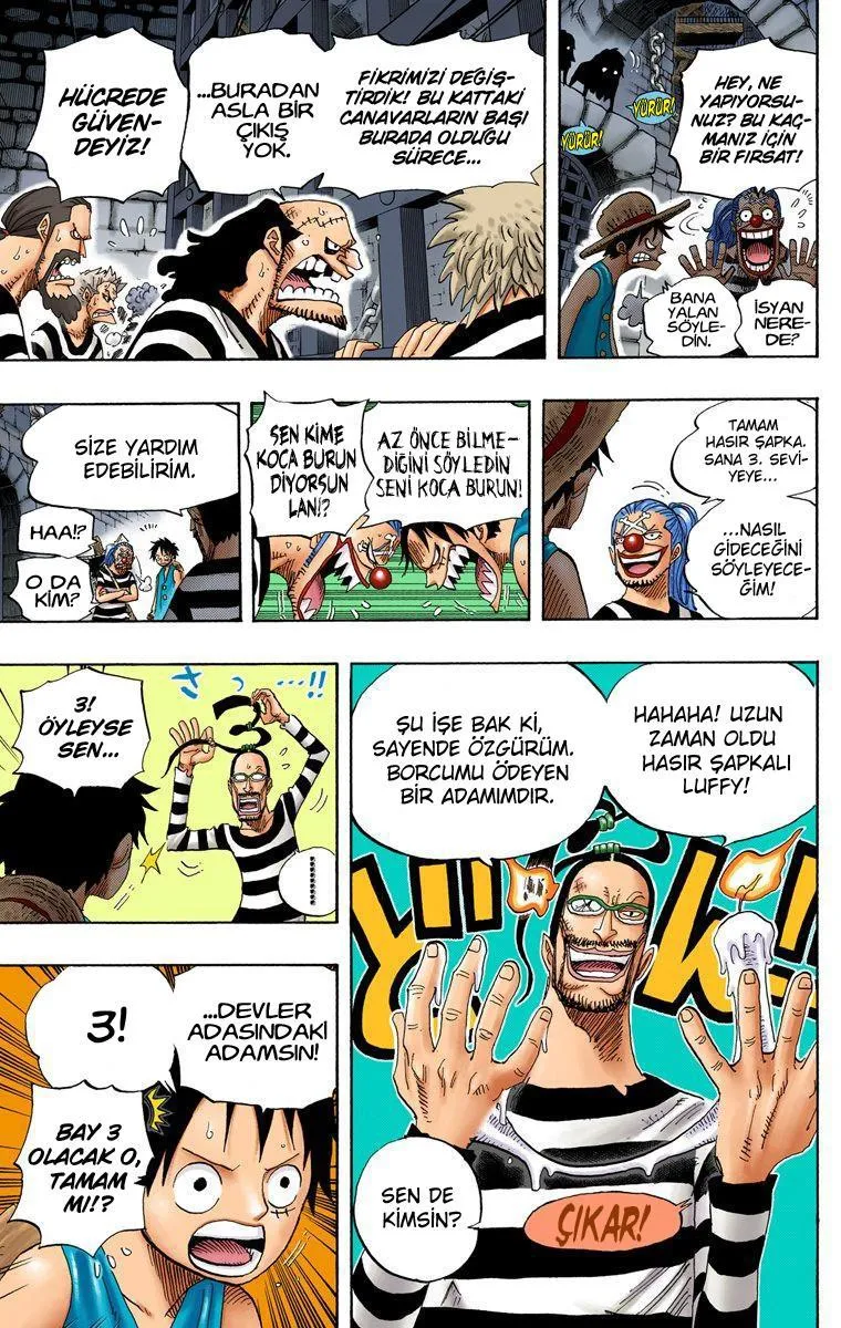 One Piece [Renkli] - Sayfa 16