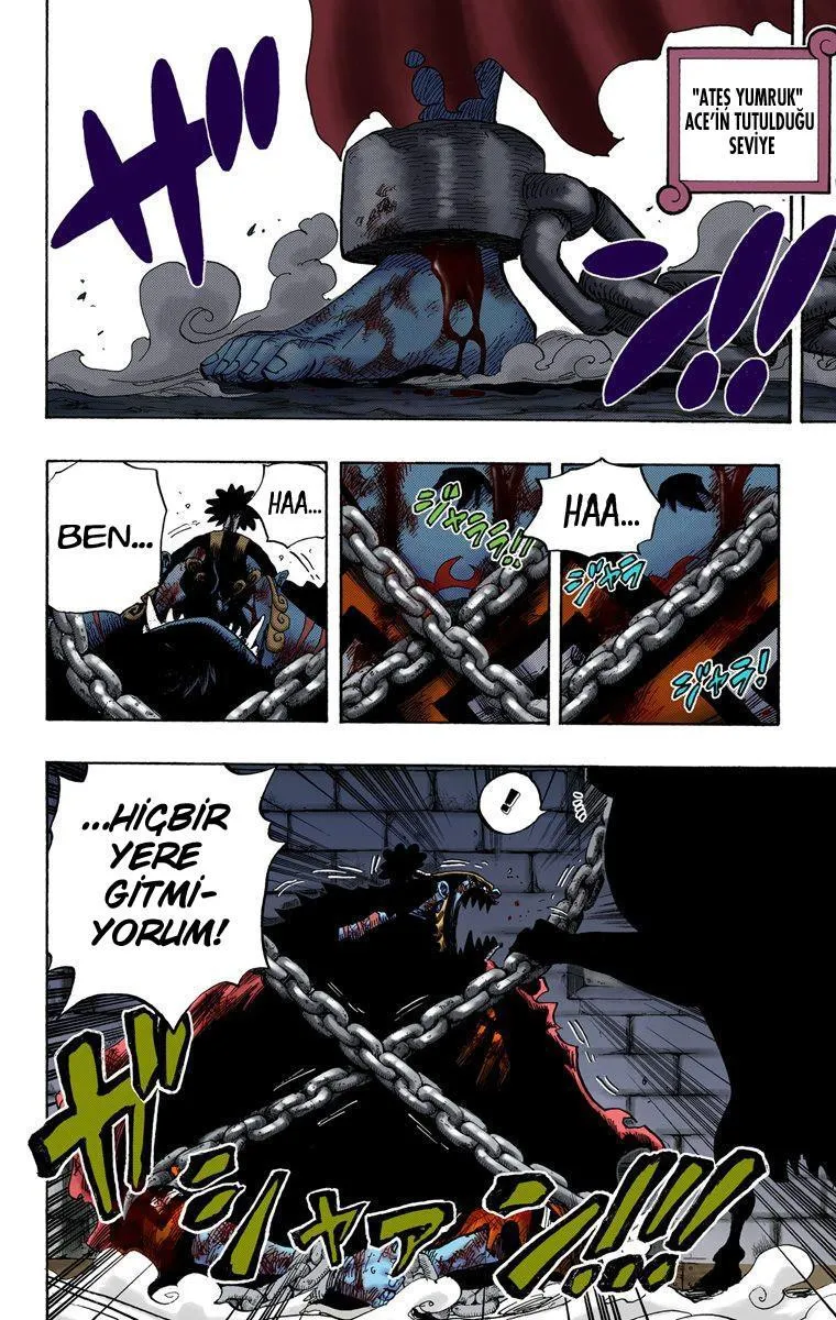 One Piece [Renkli] - Sayfa 17