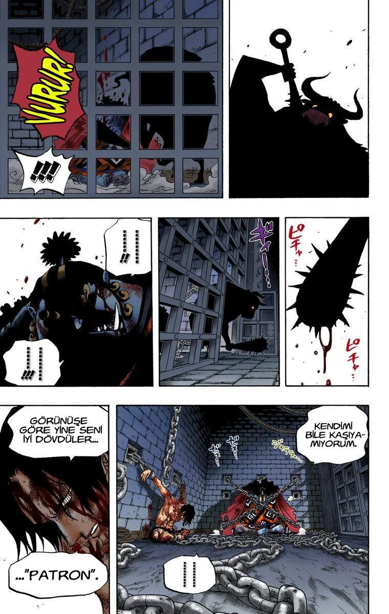 One Piece [Renkli] - Sayfa 18