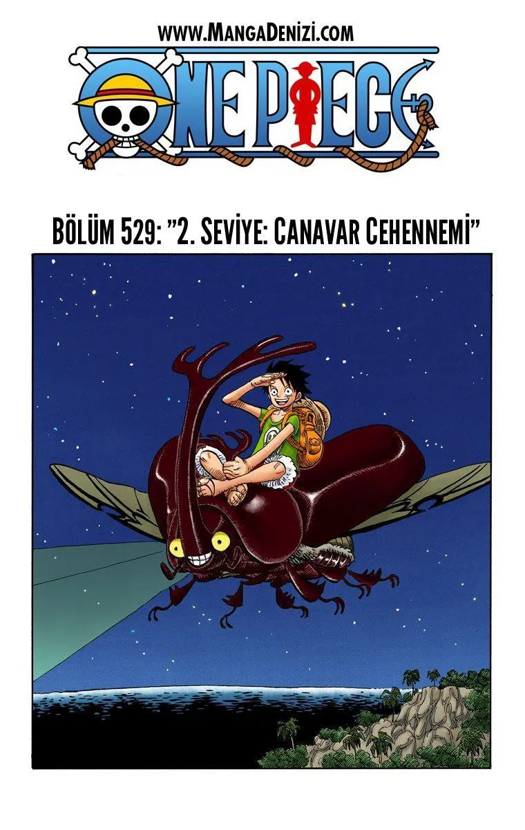 One Piece [Renkli] - Sayfa 2