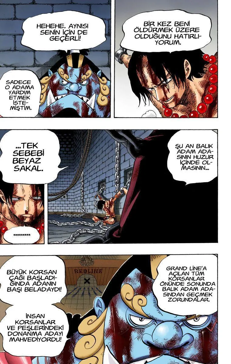 One Piece [Renkli] - Sayfa 4