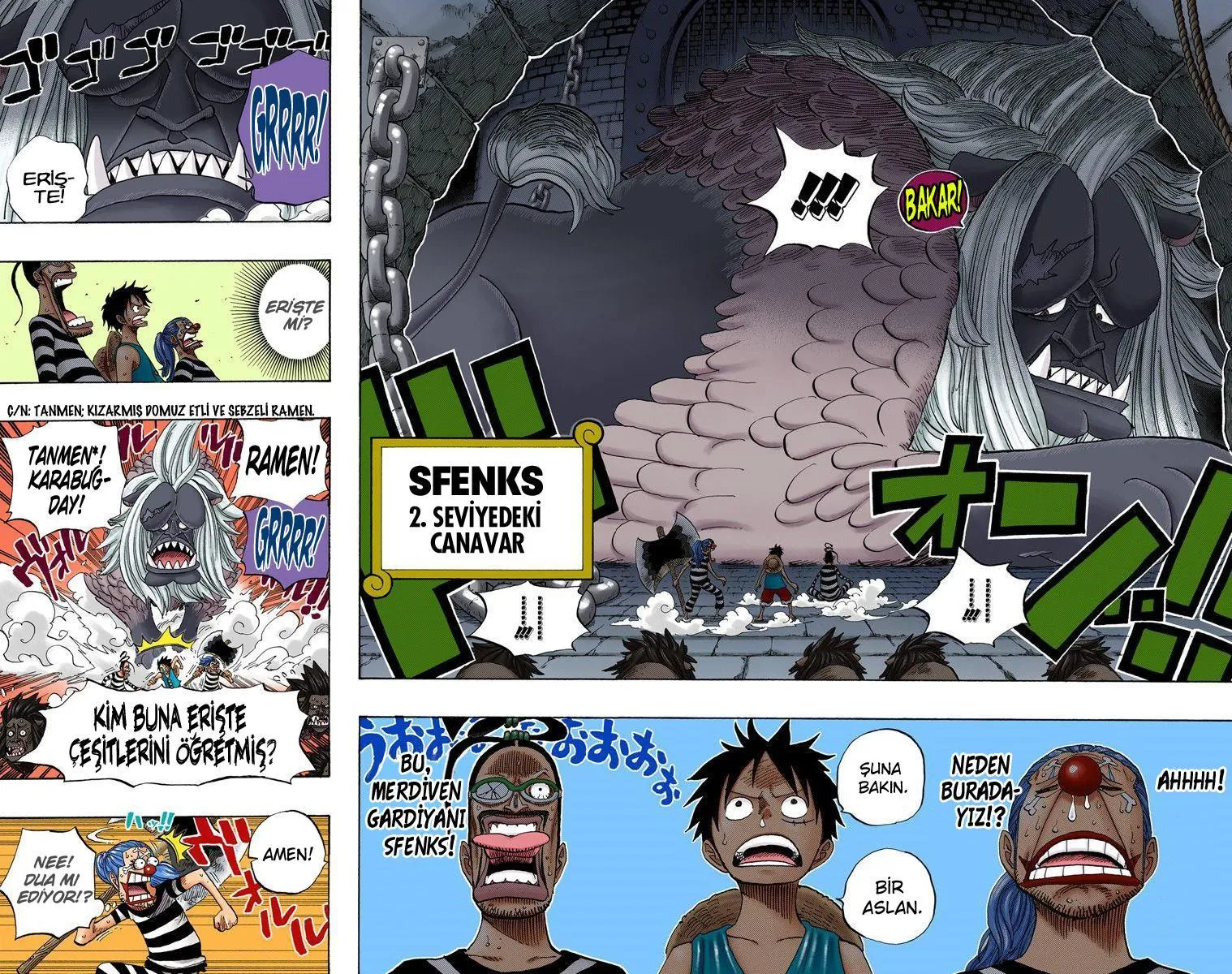 One Piece [Renkli] - Sayfa 12