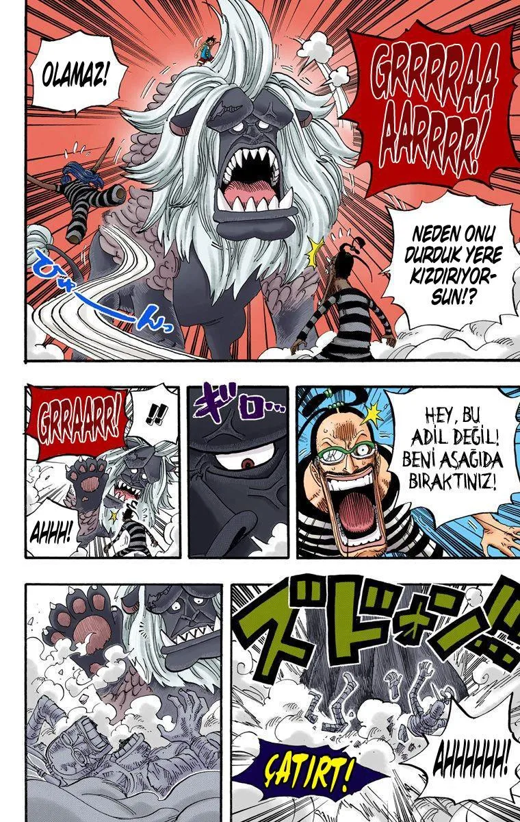 One Piece [Renkli] - Sayfa 15