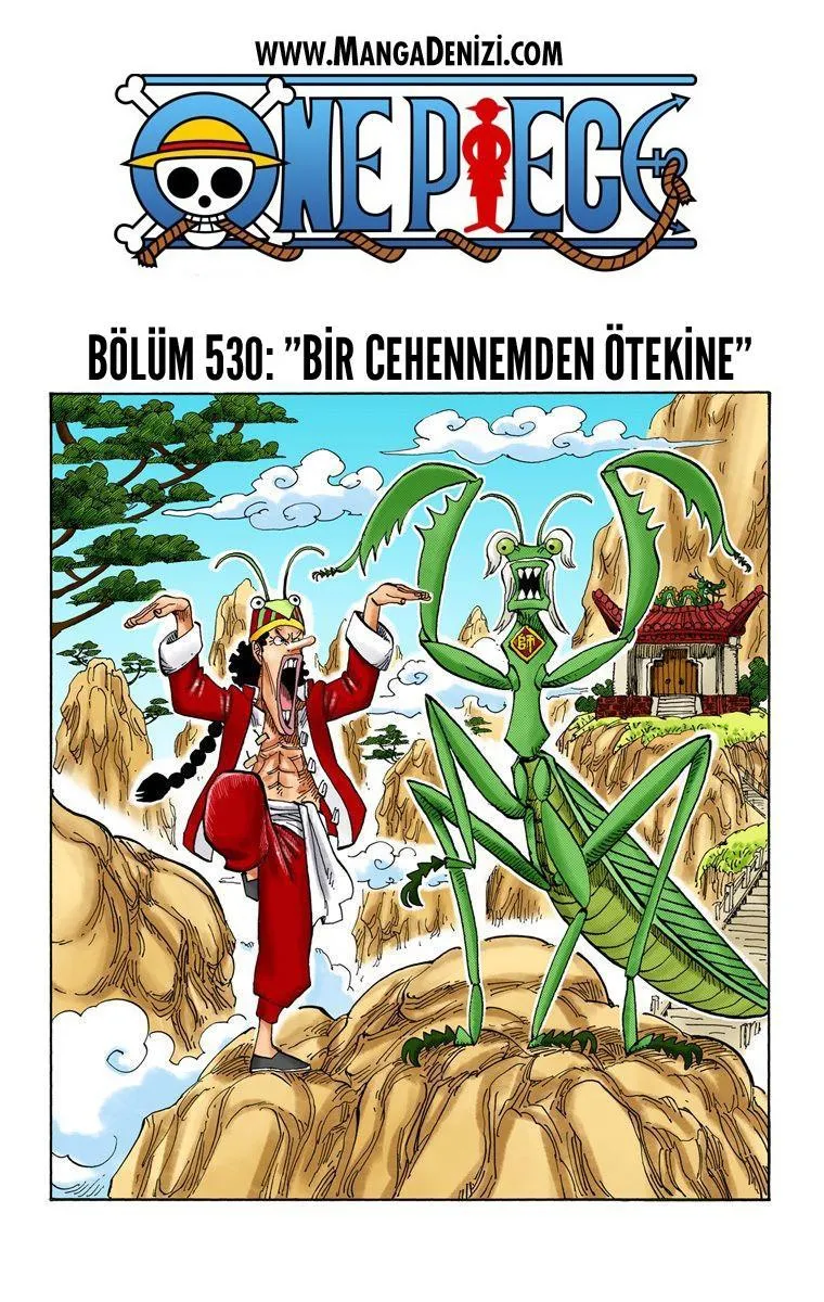 One Piece [Renkli] - Sayfa 2