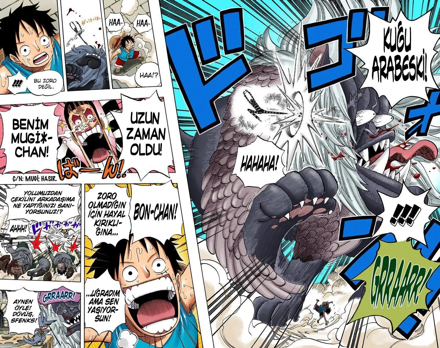 One Piece [Renkli] - Sayfa 16