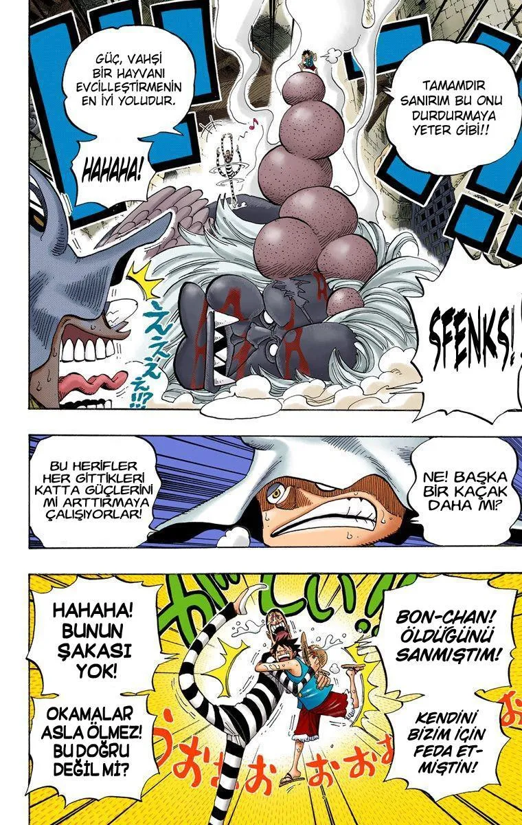 One Piece [Renkli] - Sayfa 17