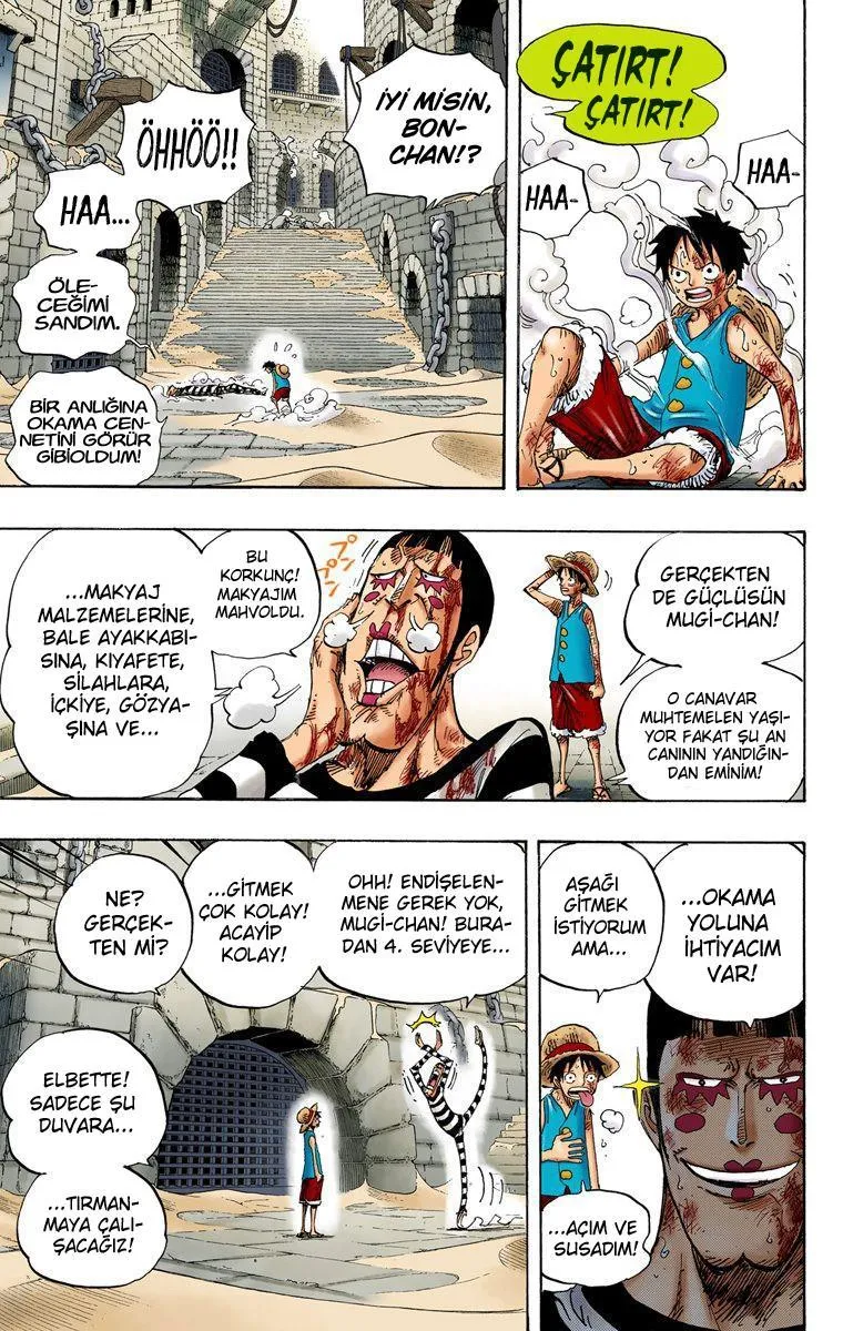 One Piece [Renkli] - Sayfa 11