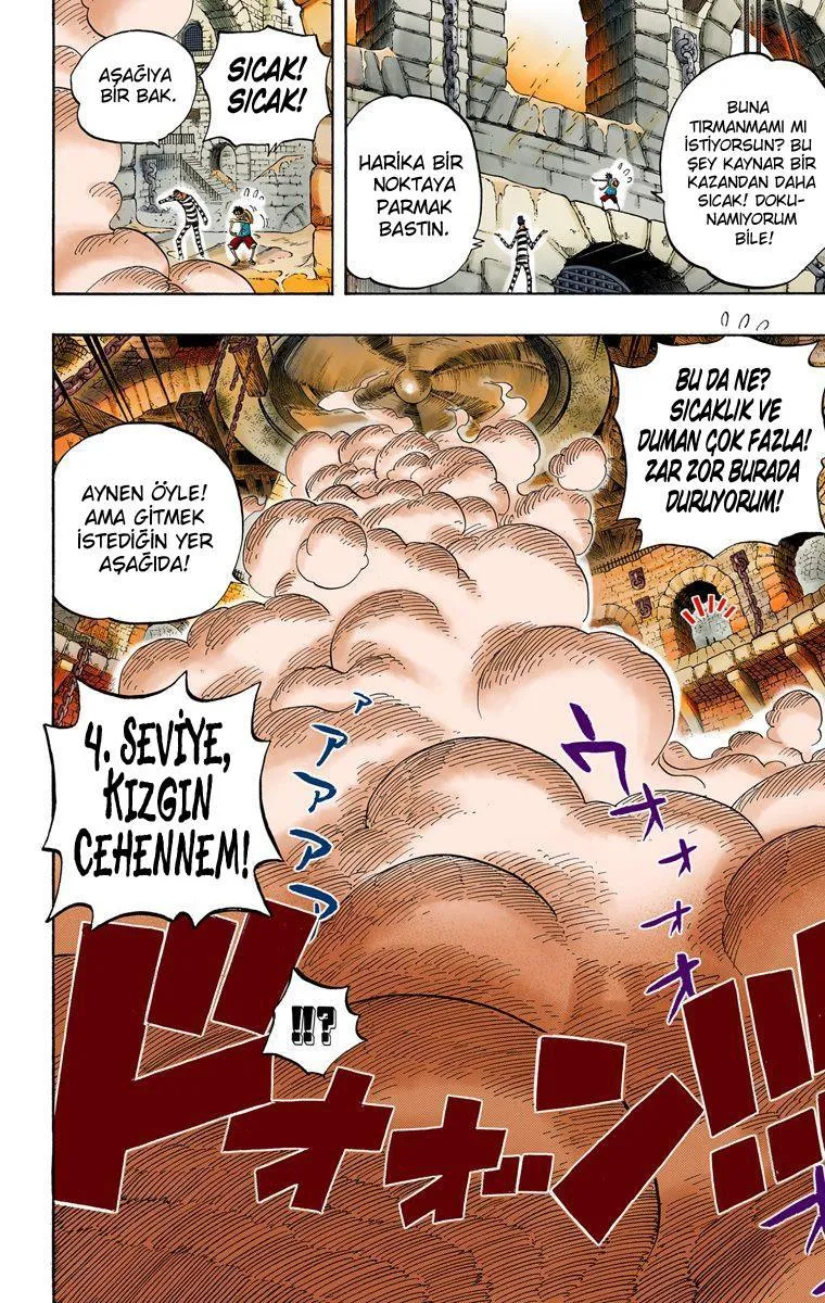 One Piece [Renkli] - Sayfa 12