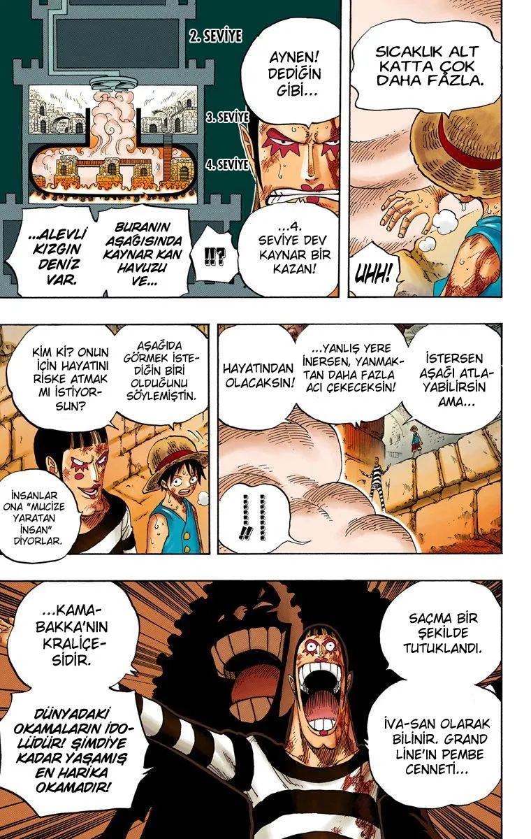 One Piece [Renkli] - Sayfa 13