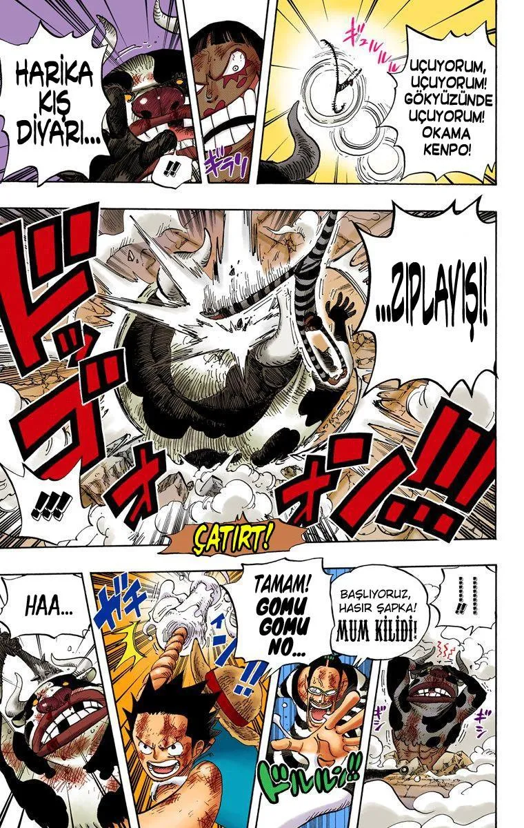 One Piece [Renkli] - Sayfa 16