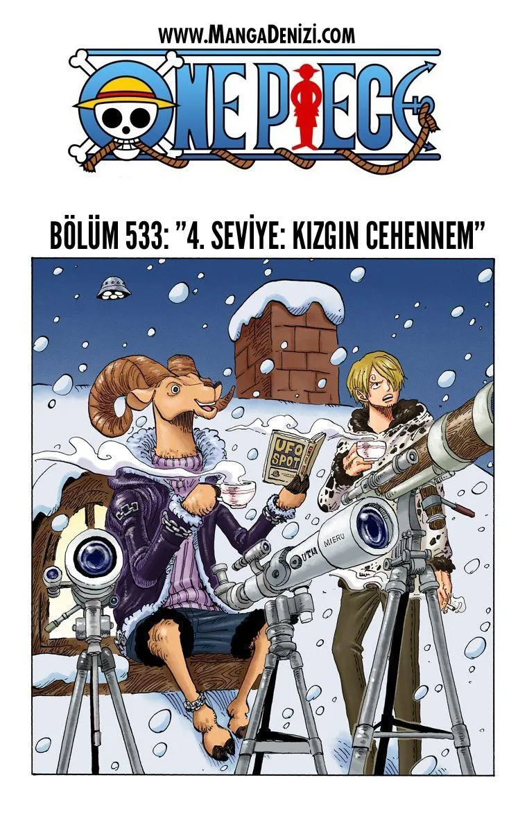 One Piece [Renkli] - Sayfa 2