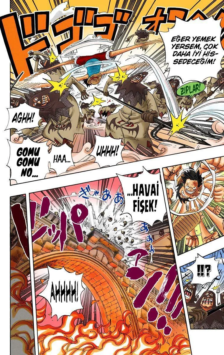 One Piece [Renkli] - Sayfa 15