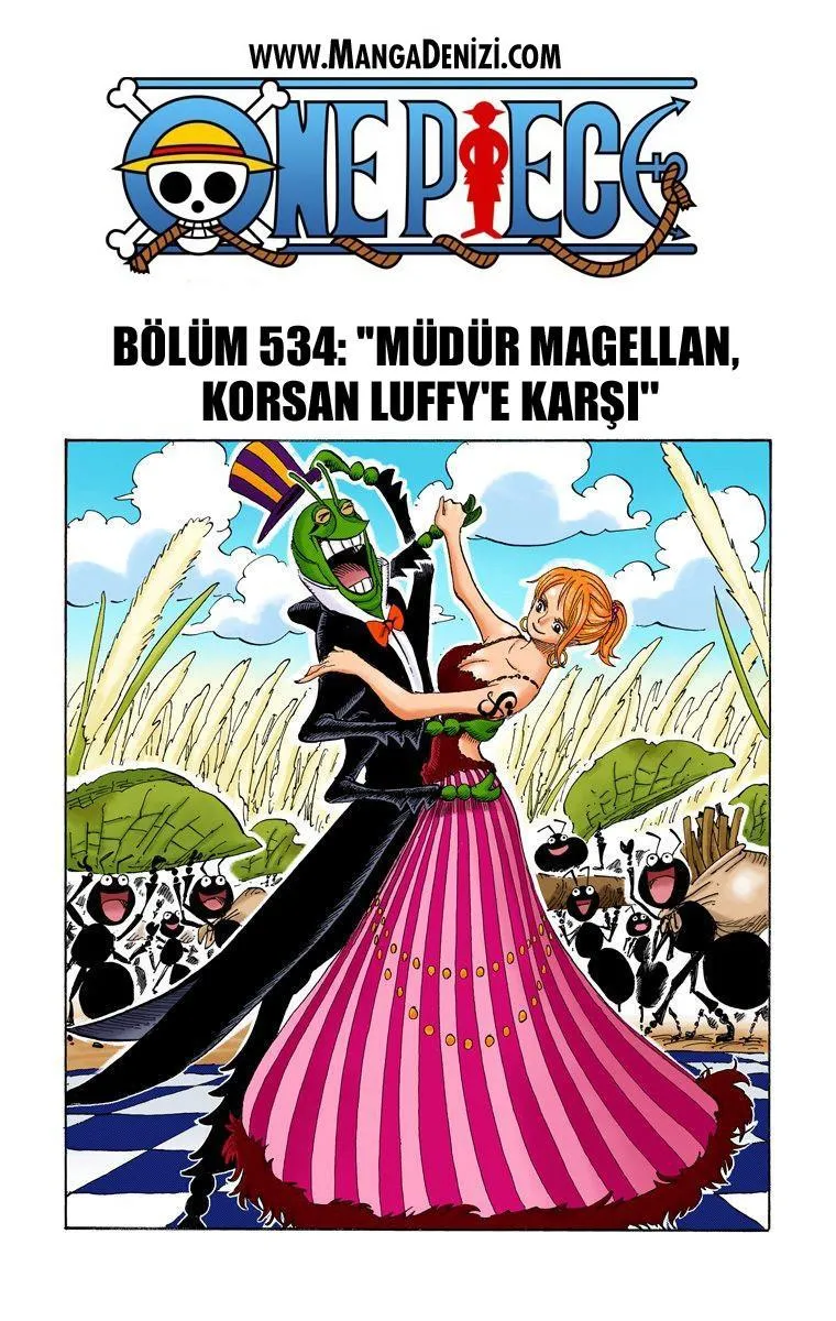 One Piece [Renkli] - Sayfa 2