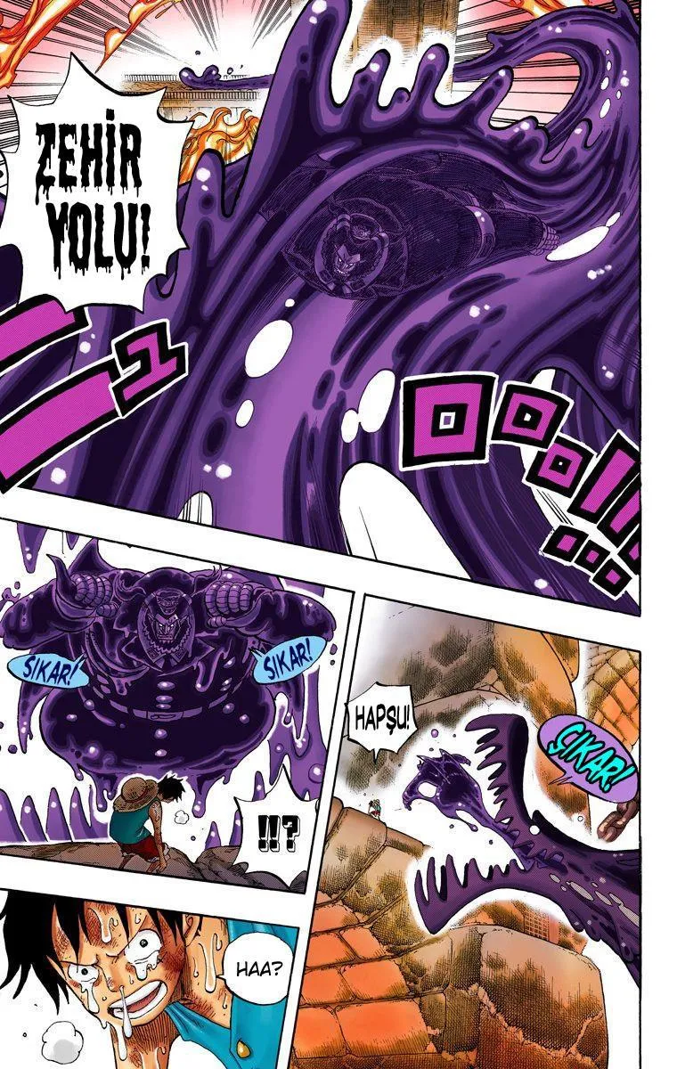 One Piece [Renkli] - Sayfa 13