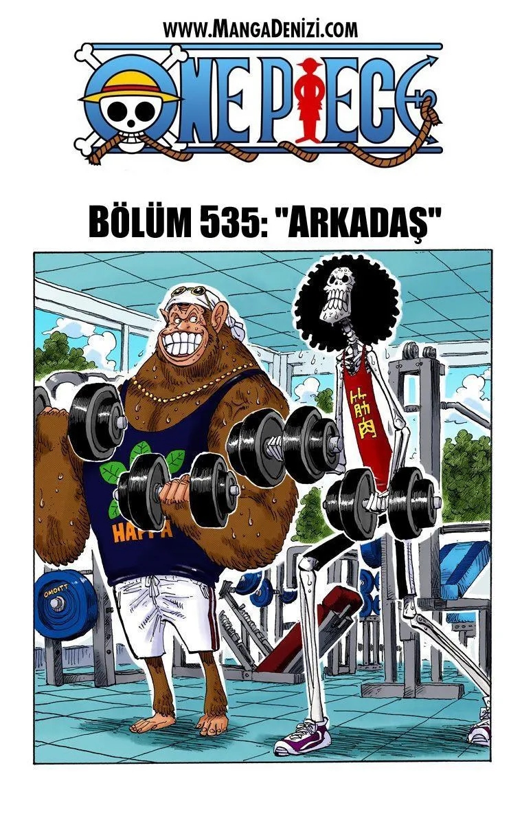 One Piece [Renkli] - Sayfa 2