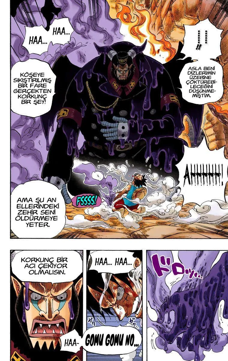 One Piece [Renkli] - Sayfa 5