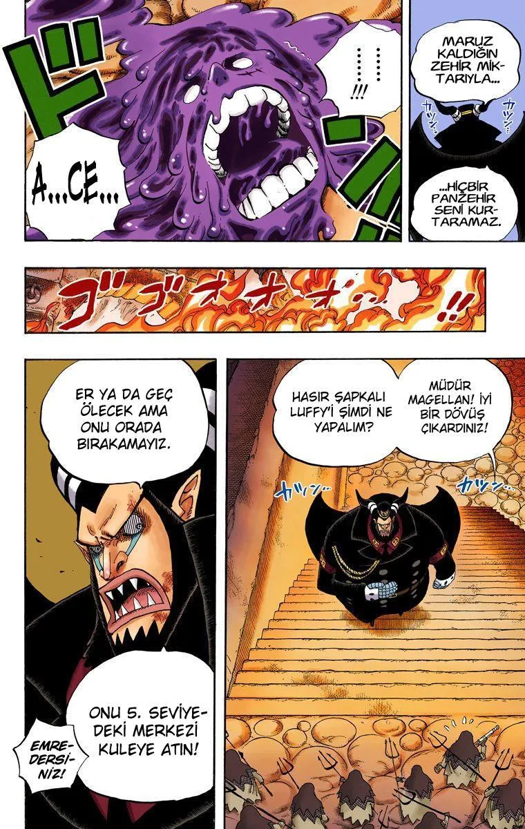 One Piece [Renkli] - Sayfa 13