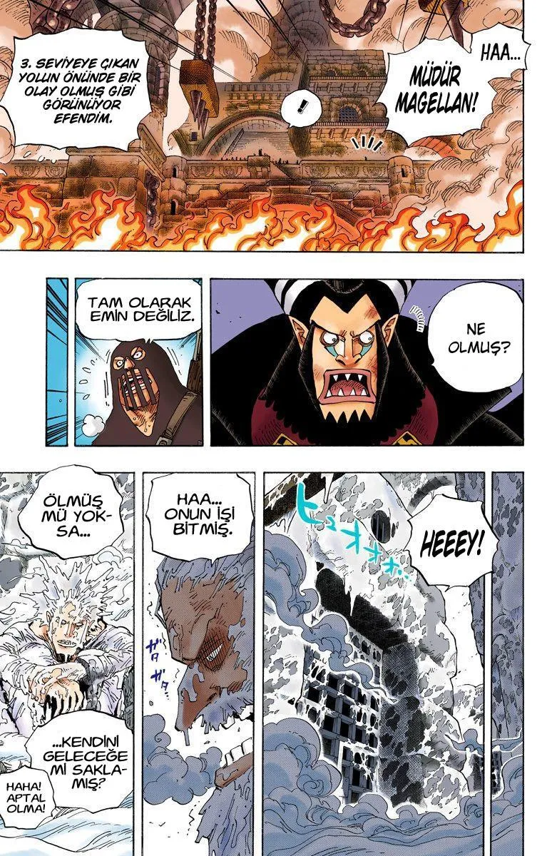One Piece [Renkli] - Sayfa 14