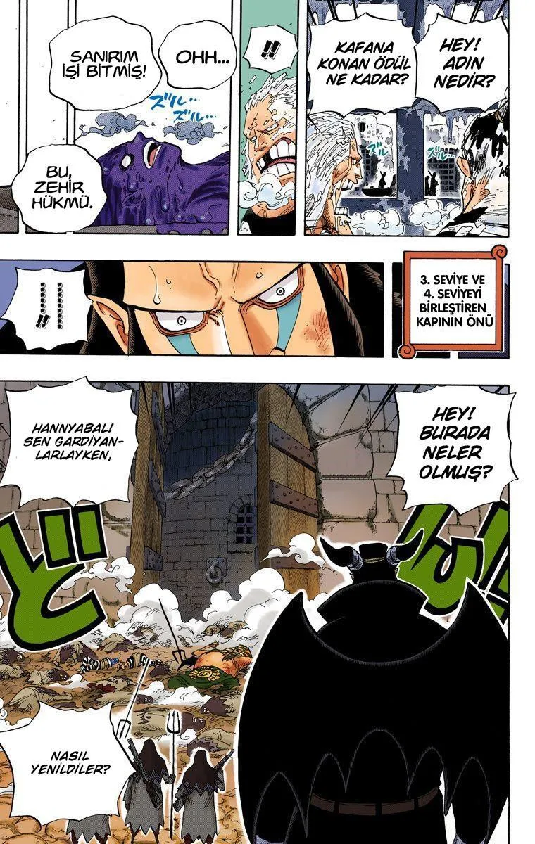 One Piece [Renkli] - Sayfa 16