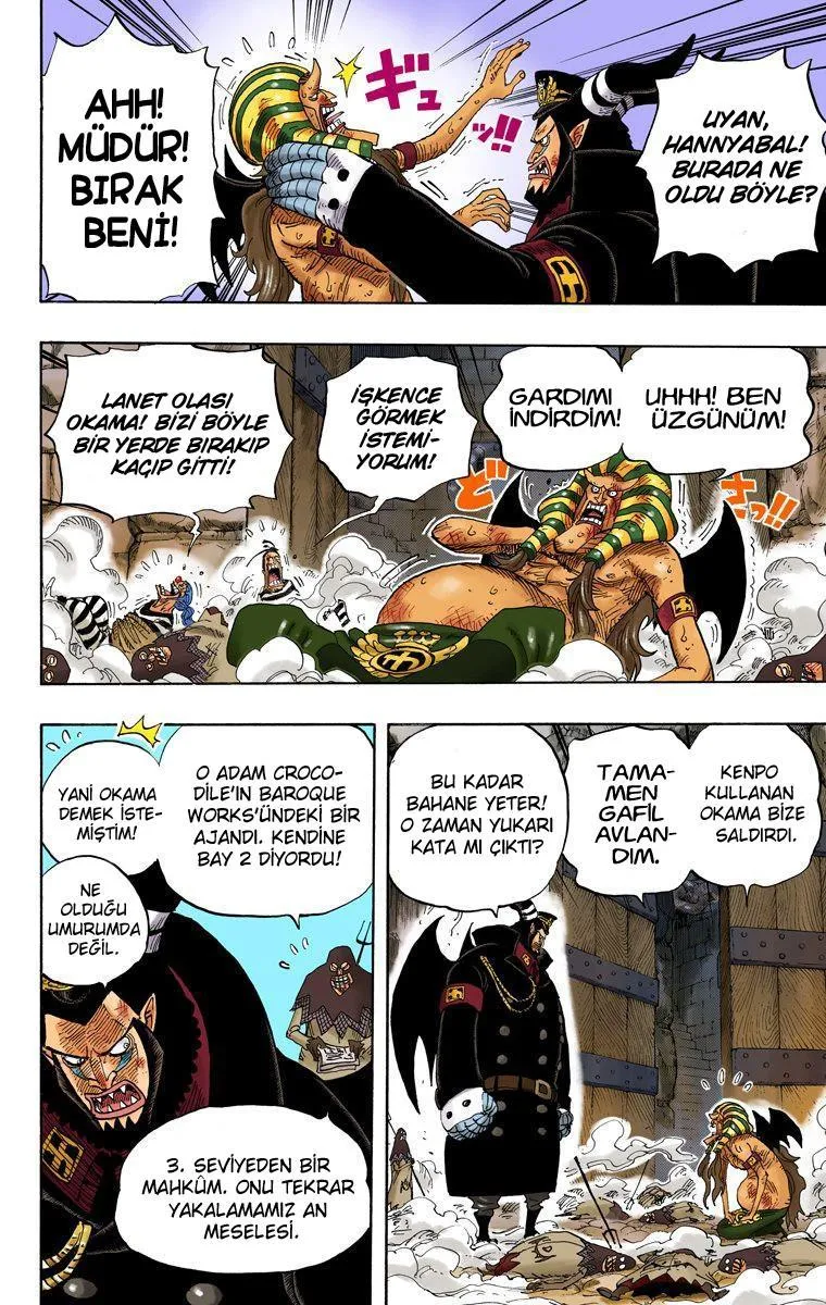 One Piece [Renkli] - Sayfa 17