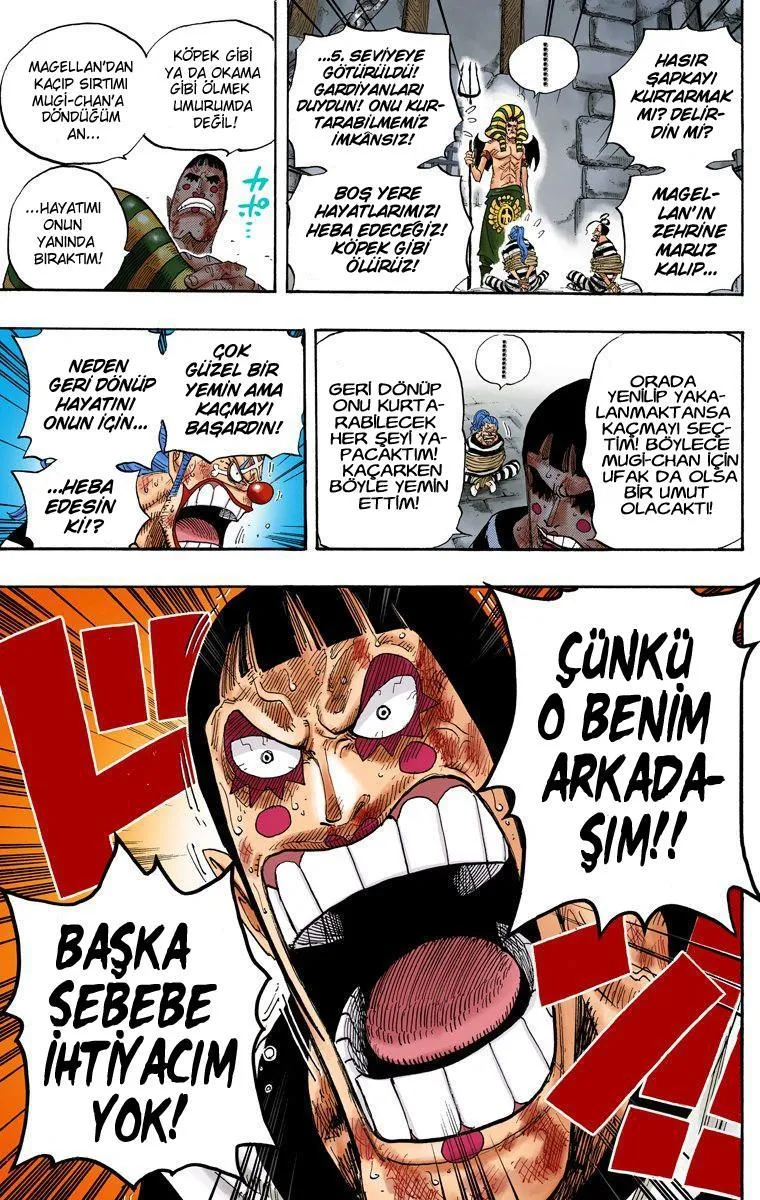 One Piece [Renkli] - Sayfa 20