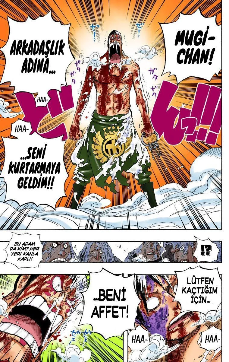 One Piece [Renkli] - Sayfa 12