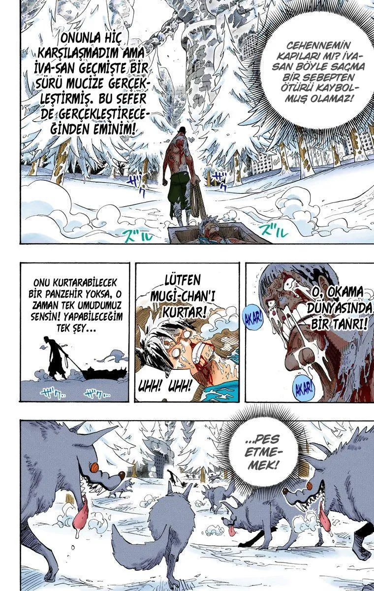 One Piece [Renkli] - Sayfa 15