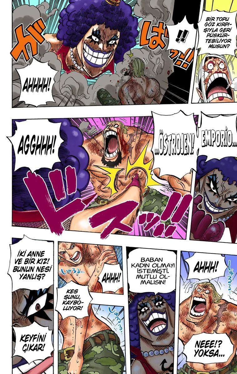 One Piece [Renkli] - Sayfa 14