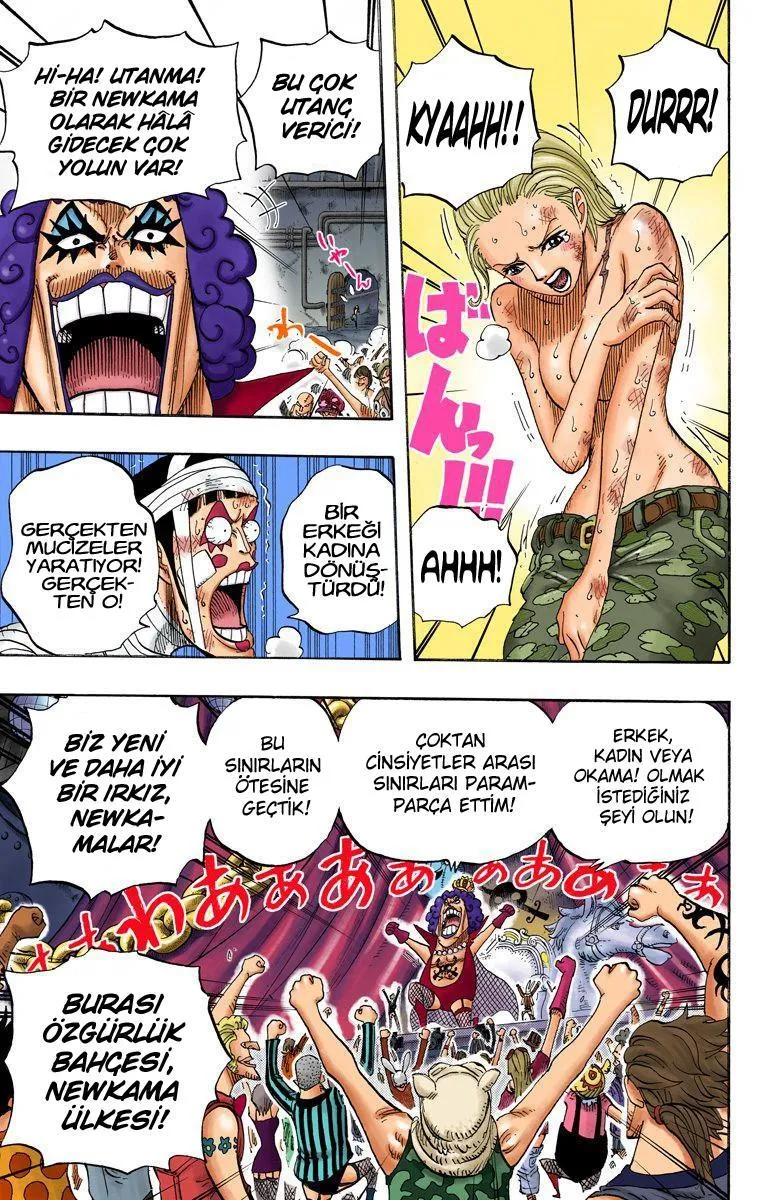 One Piece [Renkli] - Sayfa 15