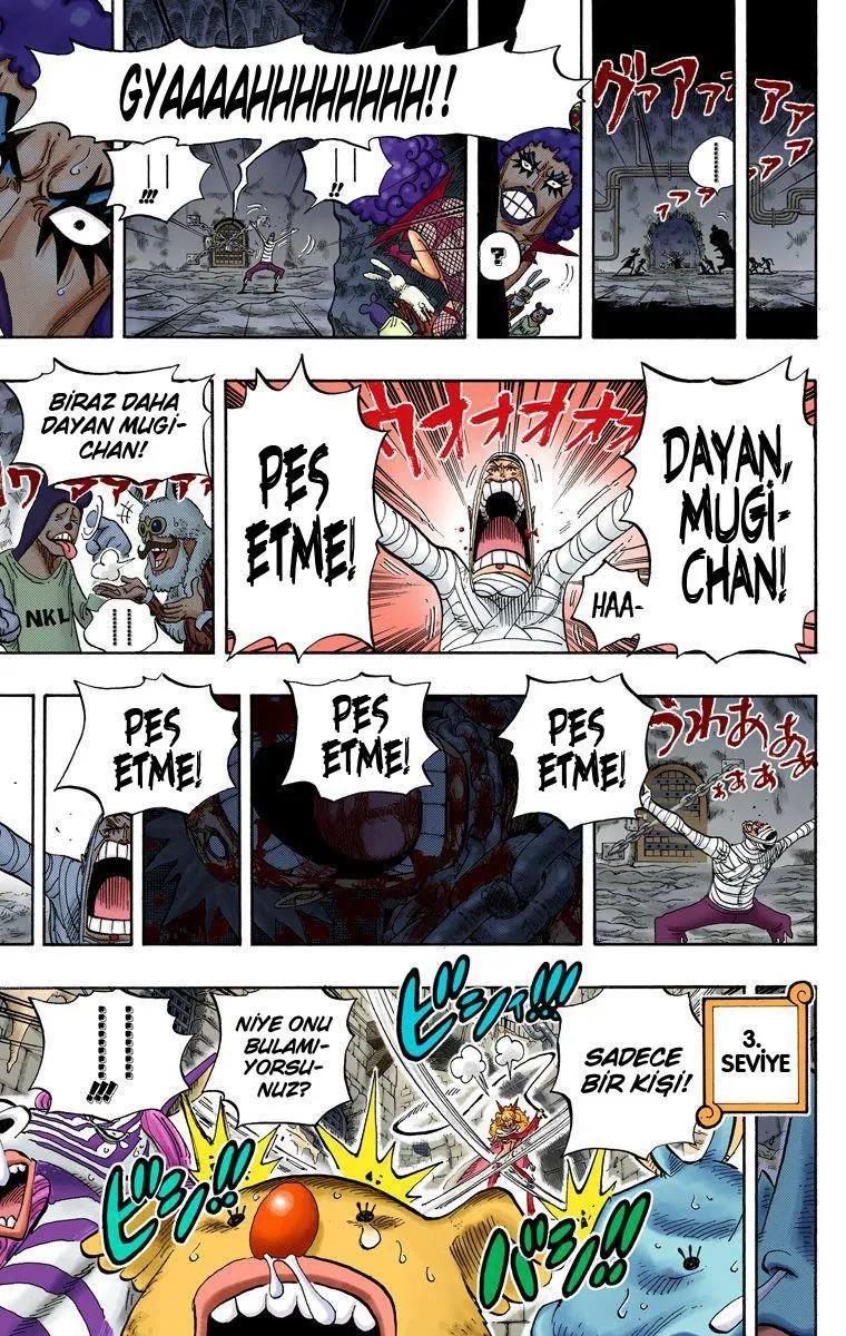 One Piece [Renkli] - Sayfa 16