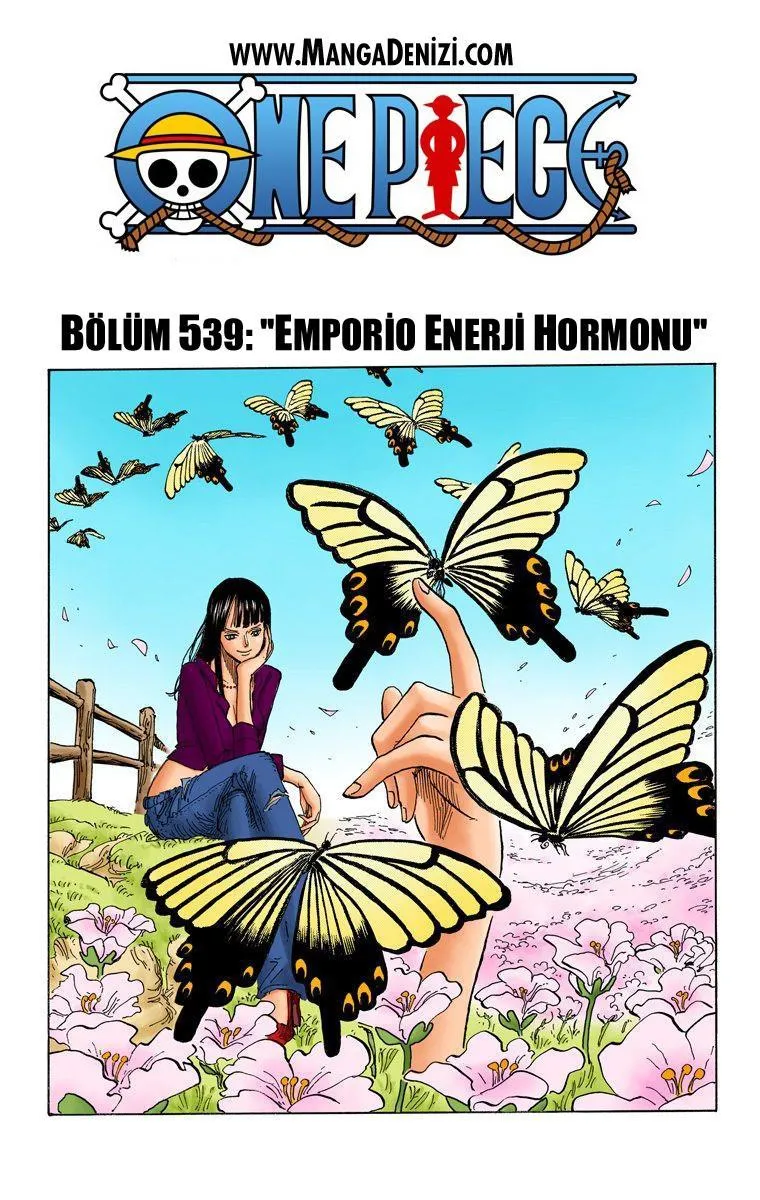 One Piece [Renkli] - Sayfa 2