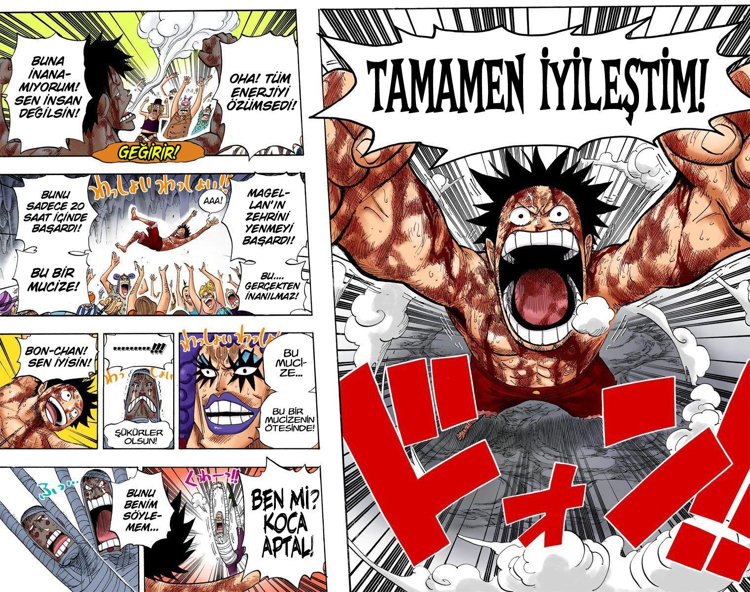 One Piece [Renkli] mangasının 0539 bölümünün 5. sayfasını okuyorsunuz.