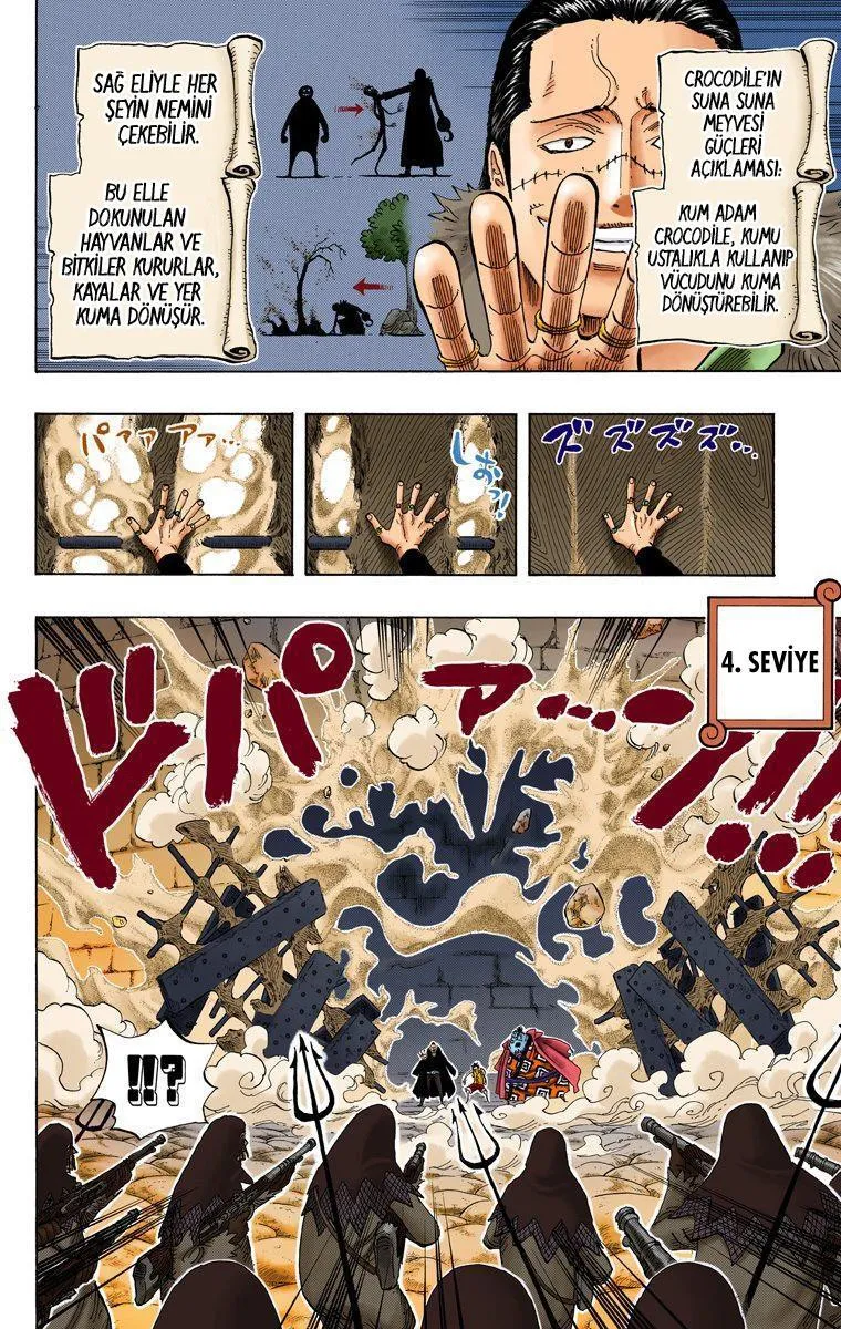 One Piece [Renkli] - Sayfa 9