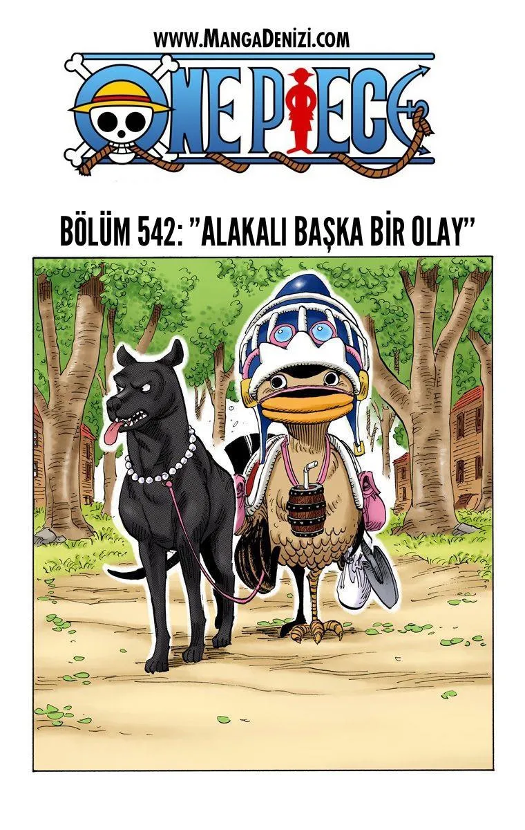 One Piece [Renkli] - Sayfa 2