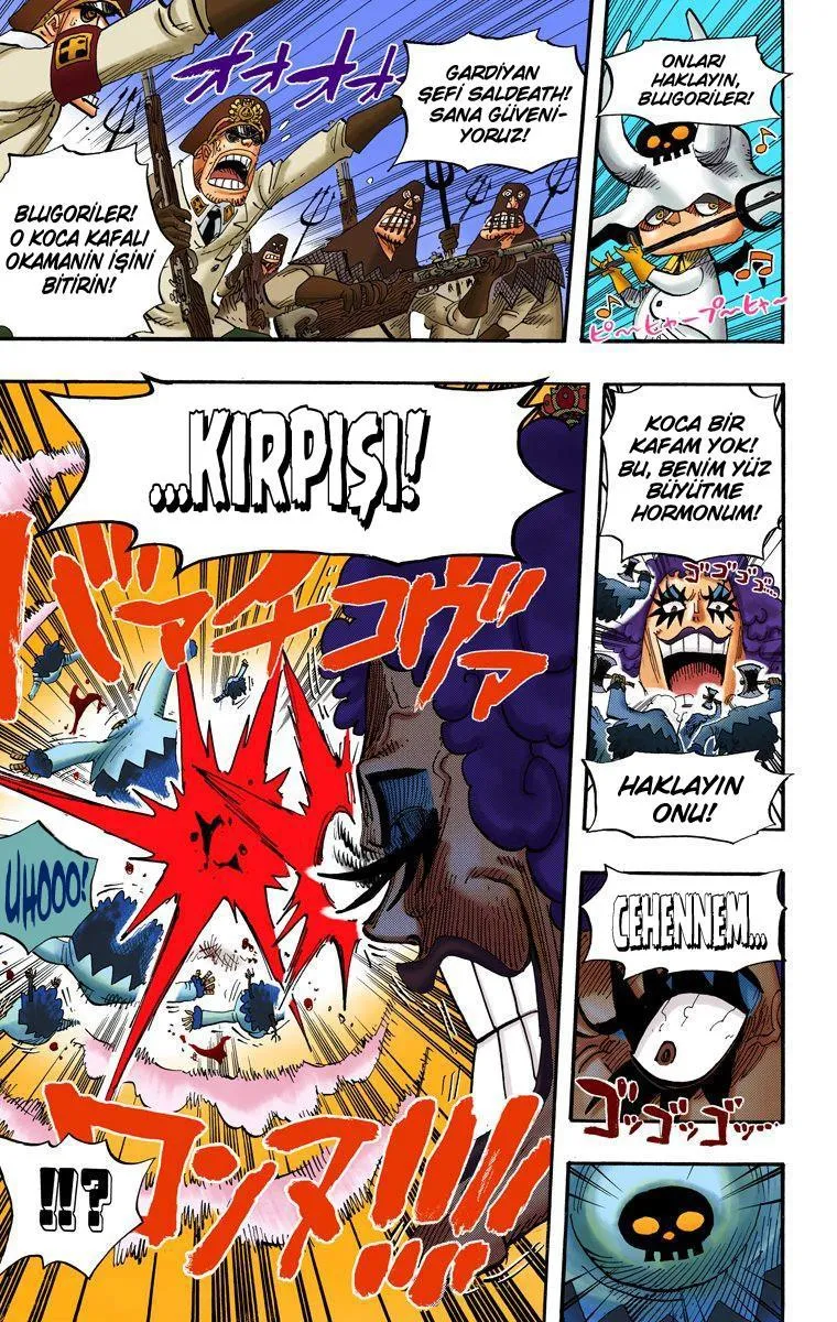 One Piece [Renkli] - Sayfa 13