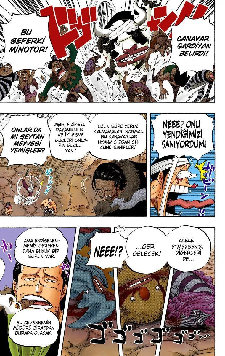 One Piece [Renkli] - Sayfa 12