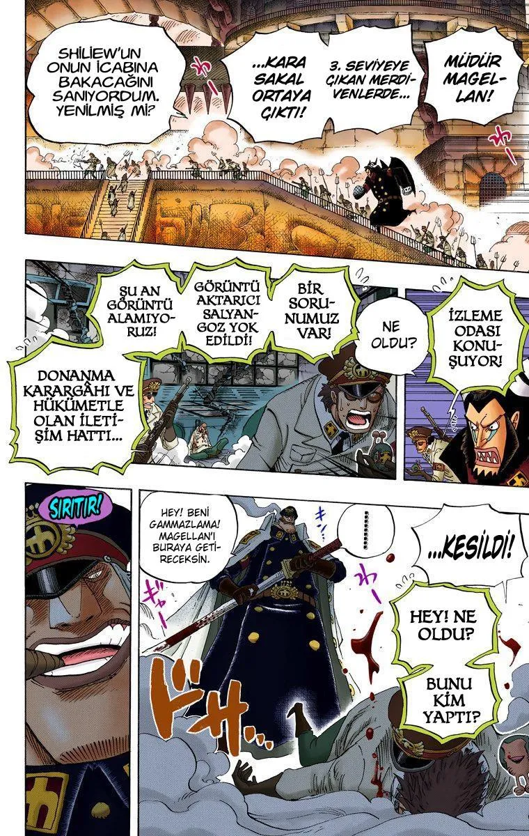 One Piece [Renkli] - Sayfa 13