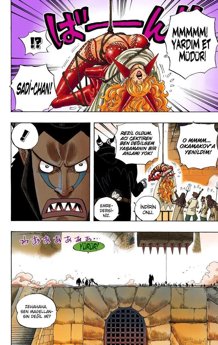 One Piece [Renkli] - Sayfa 17